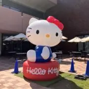 しろの画像