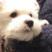 ちゃなつ
