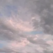 いぬまるの画像