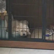 りょーーーの画像