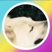 ✨黒琥珀✨断捨離中、ゆるっと再開しましたの画像