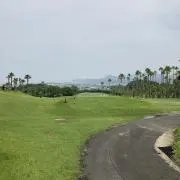 彩の画像