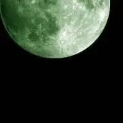 となりの画像