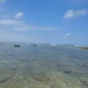 くぅのすけの画像