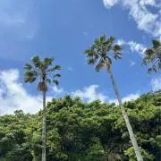 KMの画像