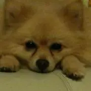 Keijiの画像