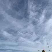 いばの画像