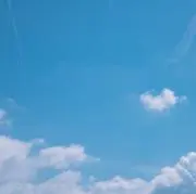 ふぃの画像