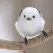 ☆yam☆の画像