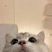 401