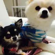 Ramu♡Rai