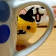 もけもけの画像
