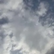 といわ