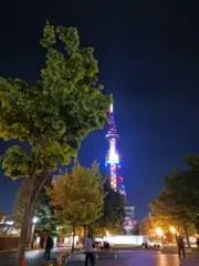 スノーピクチャーの画像