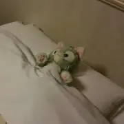 むめもの画像