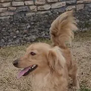 笑笑