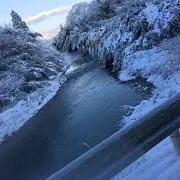ゆう