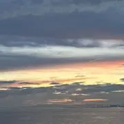 sakiの画像