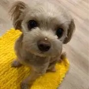 (^^)の画像