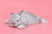絵美の画像
