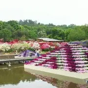 すーの画像