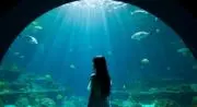 なぎ★断捨離中★フォロー割あります！の画像