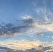 ささみ