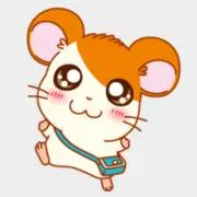 はむたろ◡̈の画像