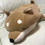 イチカの画像
