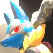 ycn23
