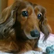 ウラン