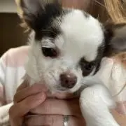 さち