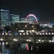 タマニヒラメキの画像