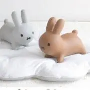 のらこ❁︎の画像