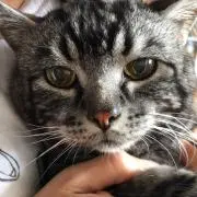 もぐぞう