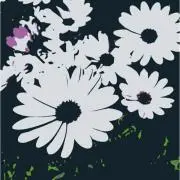maluの画像