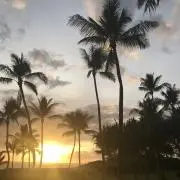 aloha@海外子供服メインですの画像