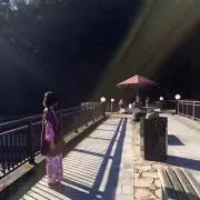 ぴかなつ