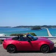 エルの画像