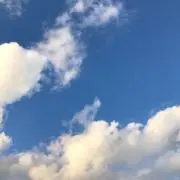 かずの画像