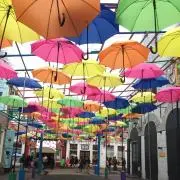 Chiimi13の画像