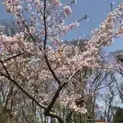 えみち(!!プロフご確認下さい!!)の画像