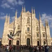 Milanの画像