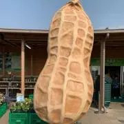 お豆