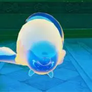 ぷくぷく獣の画像