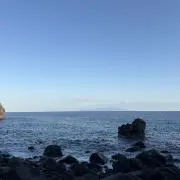 ヒカの画像