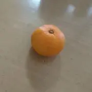 ボノボ