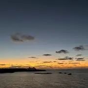 うたの画像