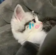 유냐の画像