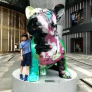 そらまめの画像